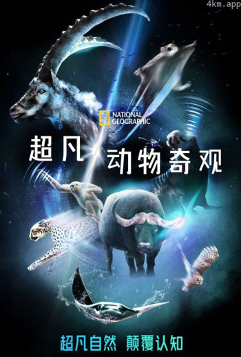 超凡动物奇观中文版