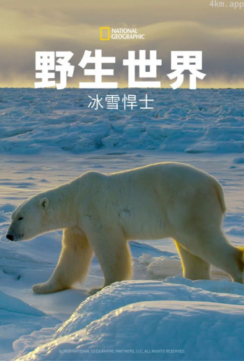 野生世界：冰雪悍士