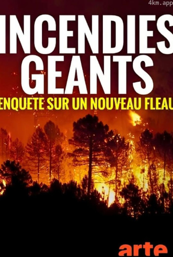 特大山火：全球的威胁