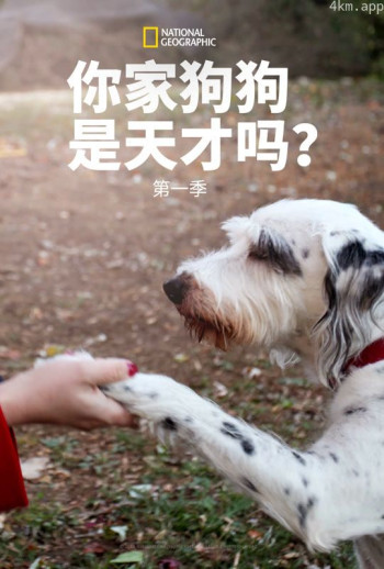 你的狗狗是天才吗? 第一季