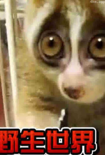 动物园的野生世界 第二季