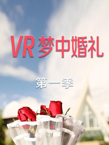 VR梦中婚礼 第一季
