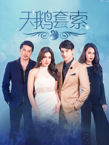 天鹅套索 TV版