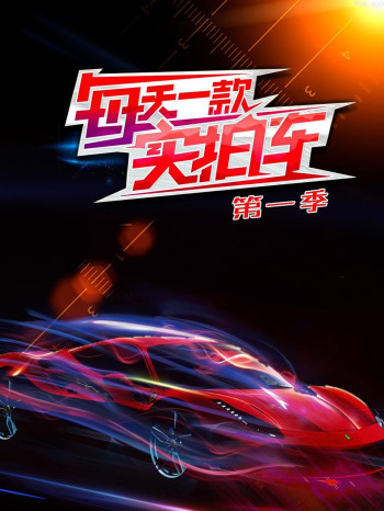 每天一款实拍车 第一季