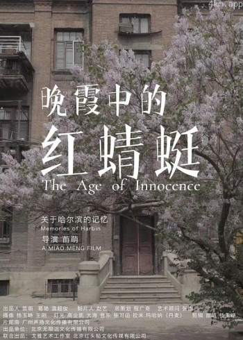 晚霞中的红蜻蜓