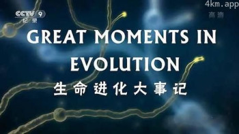 生命进化大事记