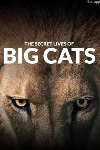 The Secret Lives of Big Cats Season 1