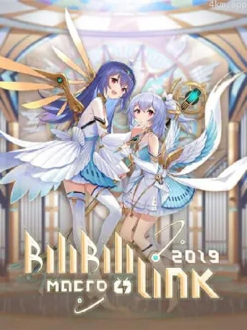 BILIBILI MACRO LINK2019
