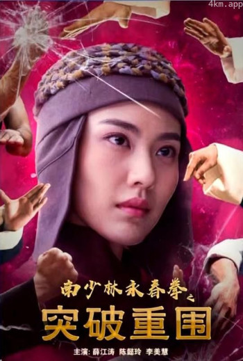 南少林永春拳之突破重围