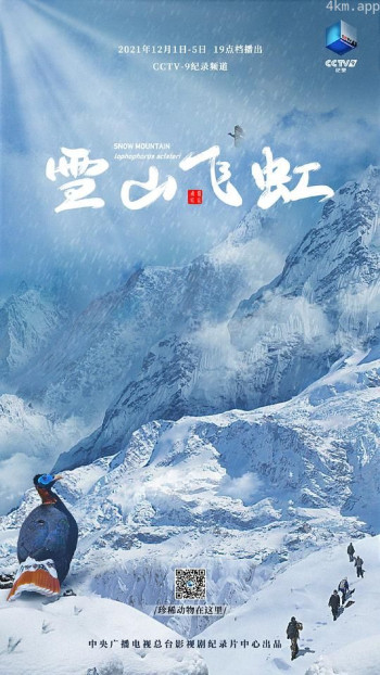 雪山飞虹