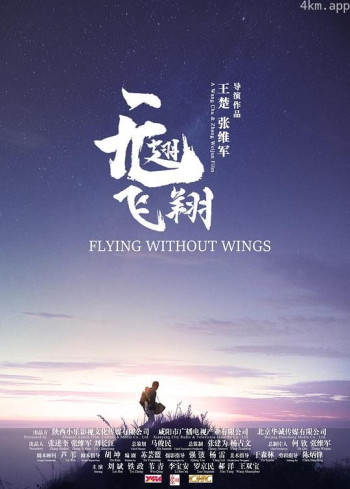 无翅飞翔