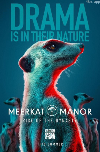 猫鼬庄园：王朝的崛起 第一季