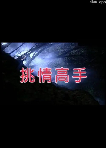 挑情高手