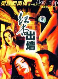 不是红杏也出墙