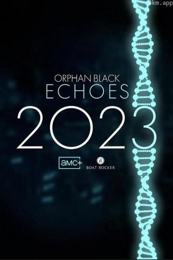 黑色孤儿：回响