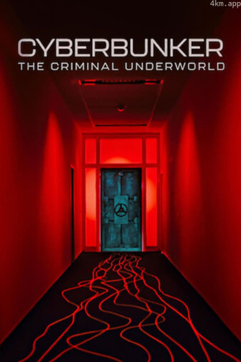 数字地堡:暗网大本营