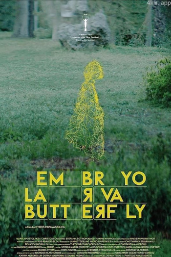 胚胎，幼虫，蝴蝶