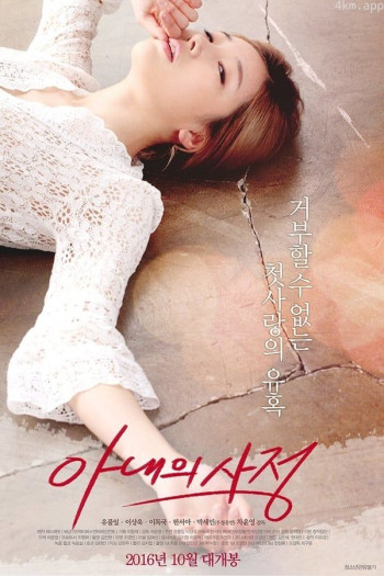 新婚妻子的猫咪