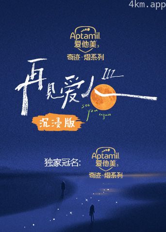 再见爱人3沉浸版