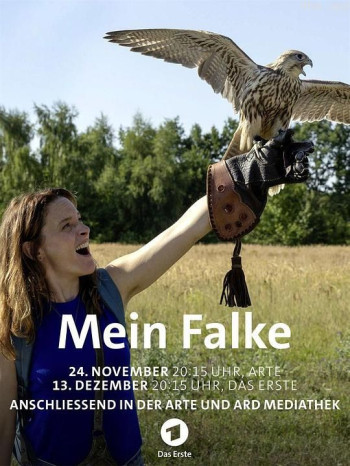 Mein Falke