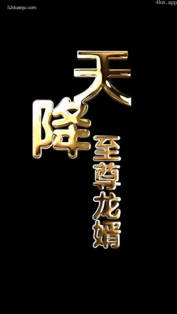 天降至尊龙婿合集版