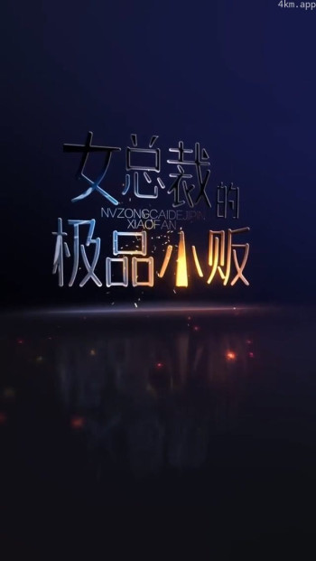 女总裁的极品小贩