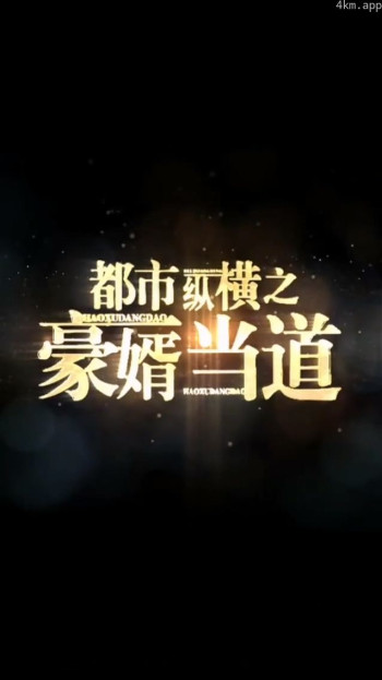 都市纵横之豪婿当道