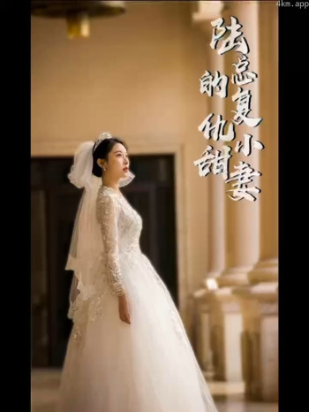 陆总的复仇小甜妻