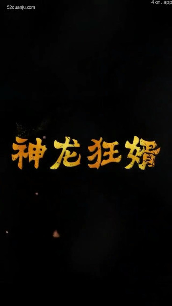 神龙狂婿合集版