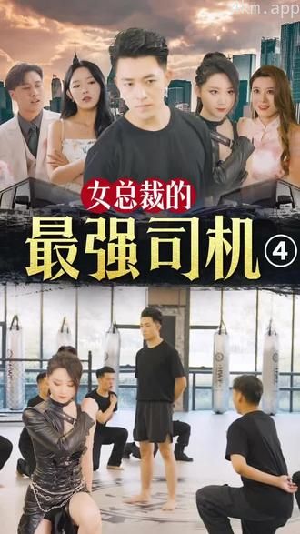 女总裁的绝世司机