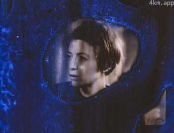 为什么我没有成为一个司机