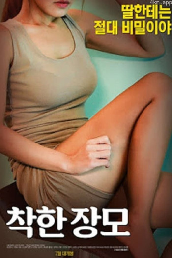 善良的岳母日本版