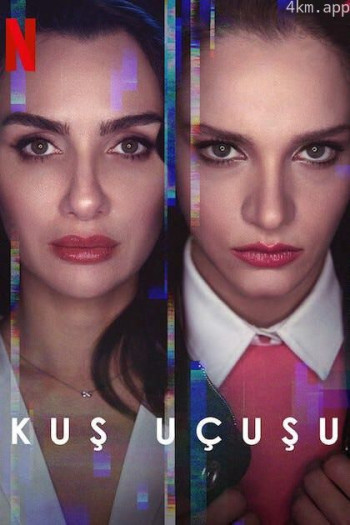 直线篡位 第二季