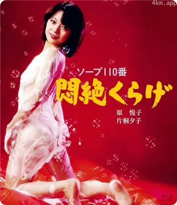 土耳其浴场110号：水母天堂