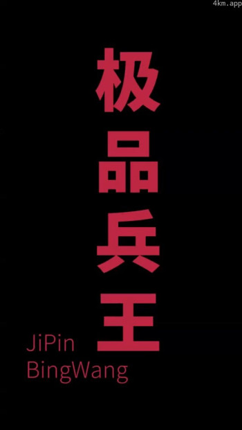 女总裁的极品狂兵