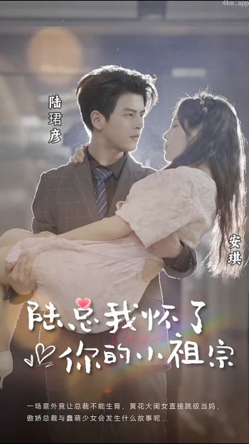 陆总,我怀了你的小祖宗