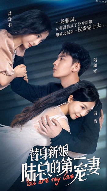 替身新娘:陆总的第一宠妻