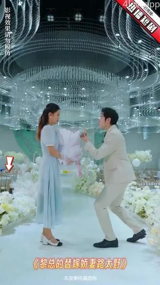 黎总的替嫁娇妻路太野