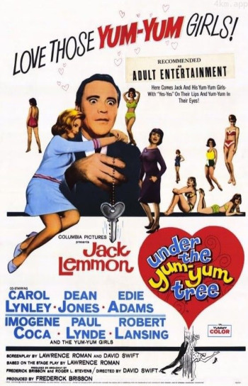 妙房东与俏房客