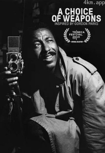 武器选择：灵感来自戈登·帕克斯