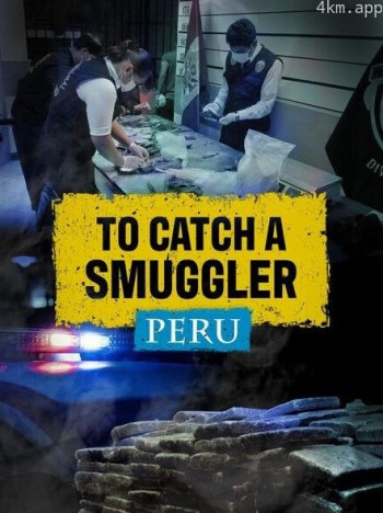 缉私档案 第四季