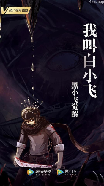 我叫白小飞·黑小飞觉醒