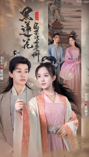 黑莲花质子攻略手册