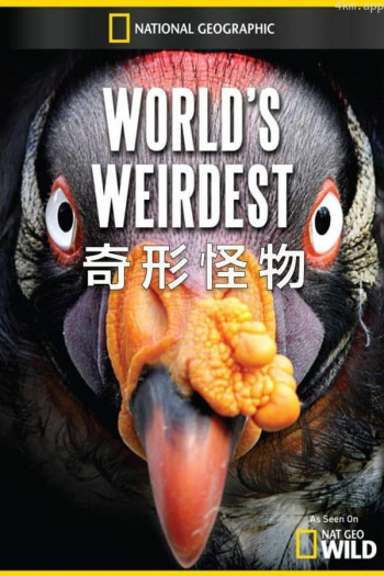 奇形怪物 第一季