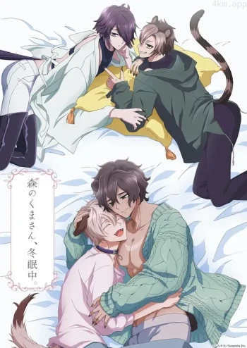 森林里的熊先生，冬眠中