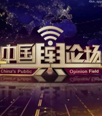 中国舆论场2024