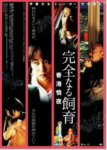 禁室培欲3:香港情夜