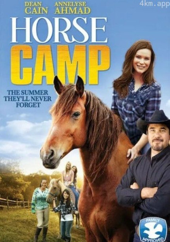 那些年一起骑的马儿