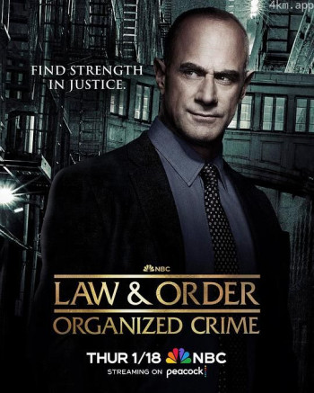 法律与秩序：组织犯罪 第四季