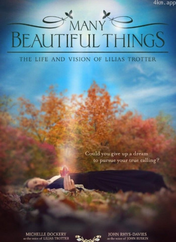 许多美丽的事物